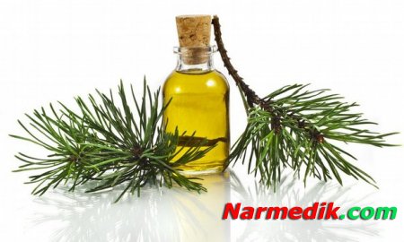 Пихтовое масло – лечебные свойства, применение, противопоказания