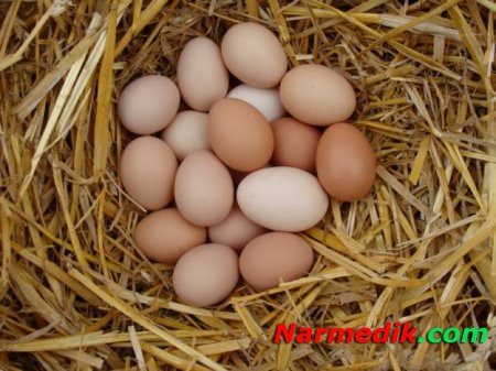Ученые: мужчинам полезно употребление яиц