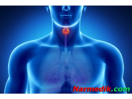 Как распознать проблемы со щитовидной железой