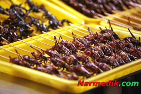 Лучший источник железа для человека – блюда из насекомых