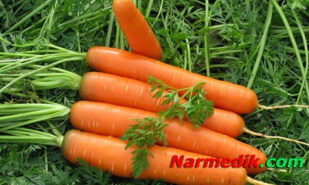 Хроническая усталость: действенное средство из моркови и чеснока в помощь